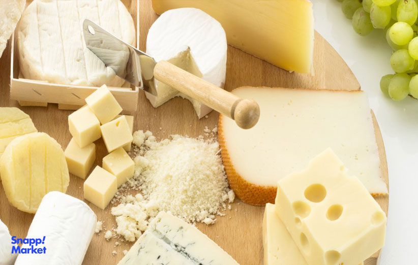 پروتئین پنیر