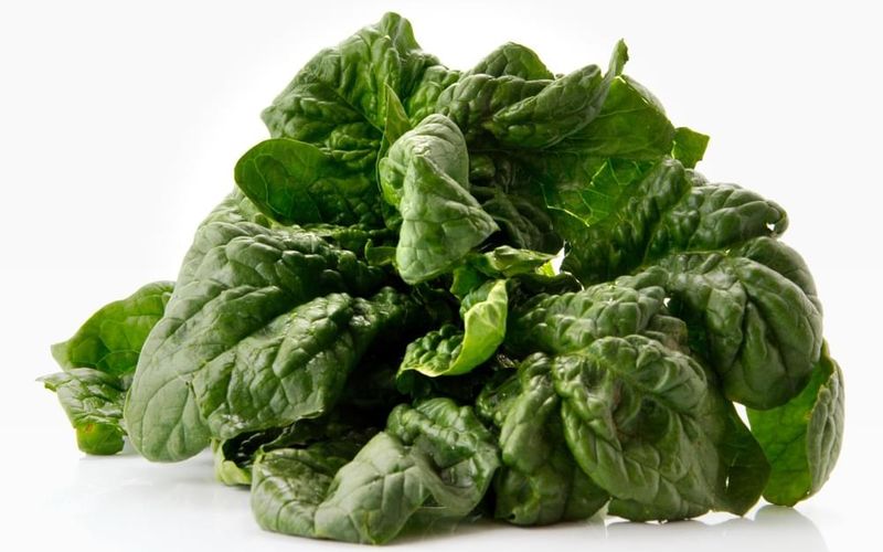 اسفناج مصرف سبزیجات