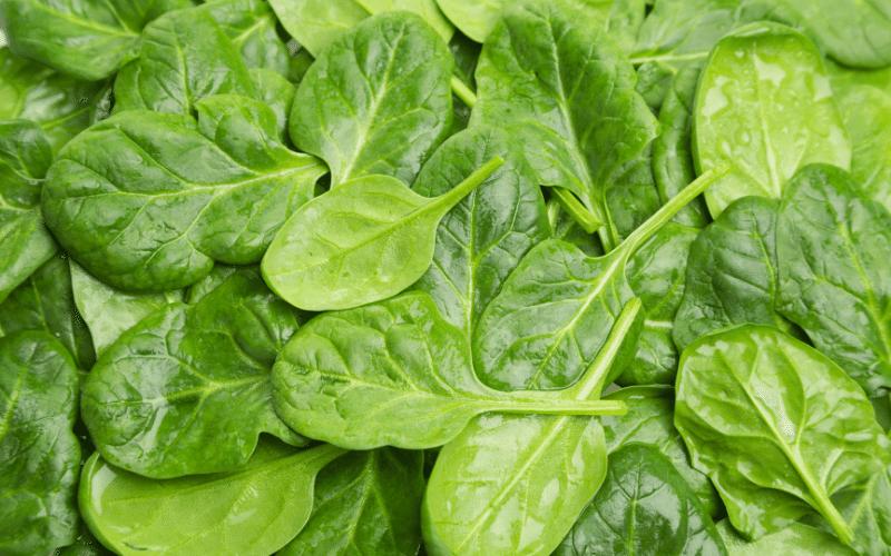 مواد غذایی حاوی سروتونین