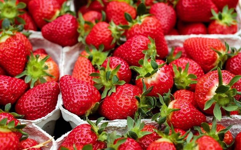 آنتی اکسیدانها