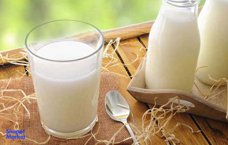 شیر شتر کلسیم فراوانی دارد