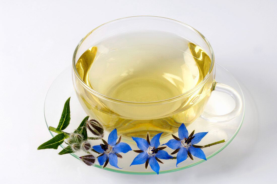 خواص گل گاو زبان برای سرماخوردگی