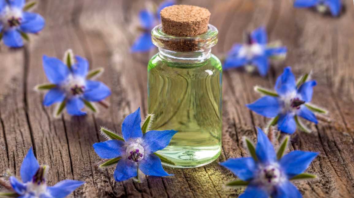 خواص گل گاو زبان برای پوست صورت