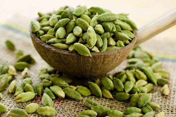 خواص دارویی هل سبز