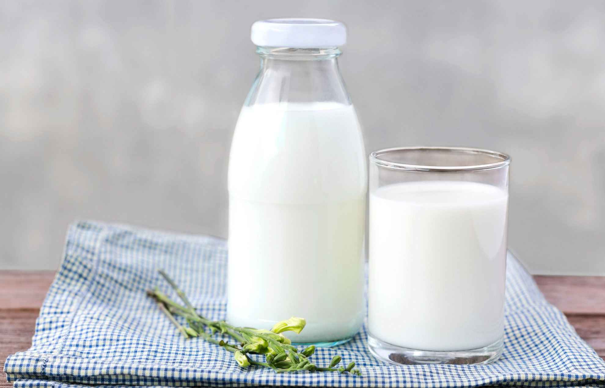 شیر و فواید آن