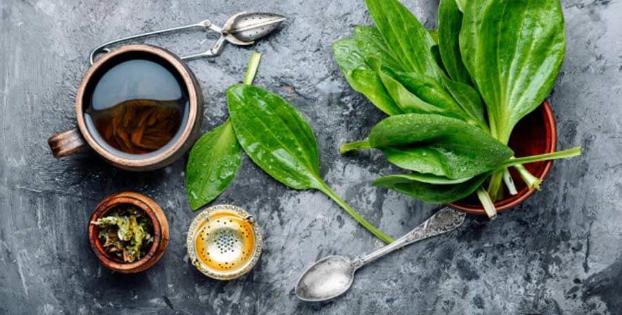 طریقه مصرف بارهنگ
