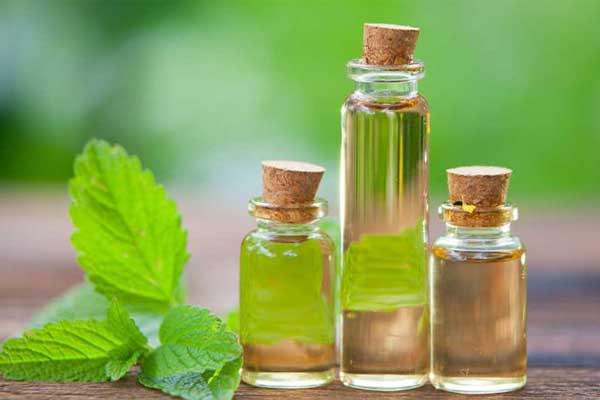 خواص درمانی عرق نعناع