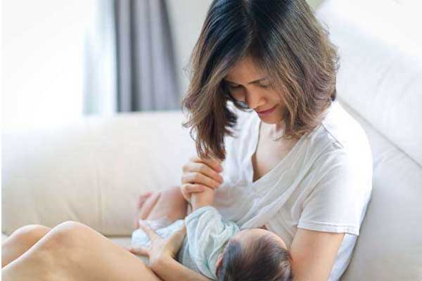 چطور تولید شیر را افزایش دهیم؟
