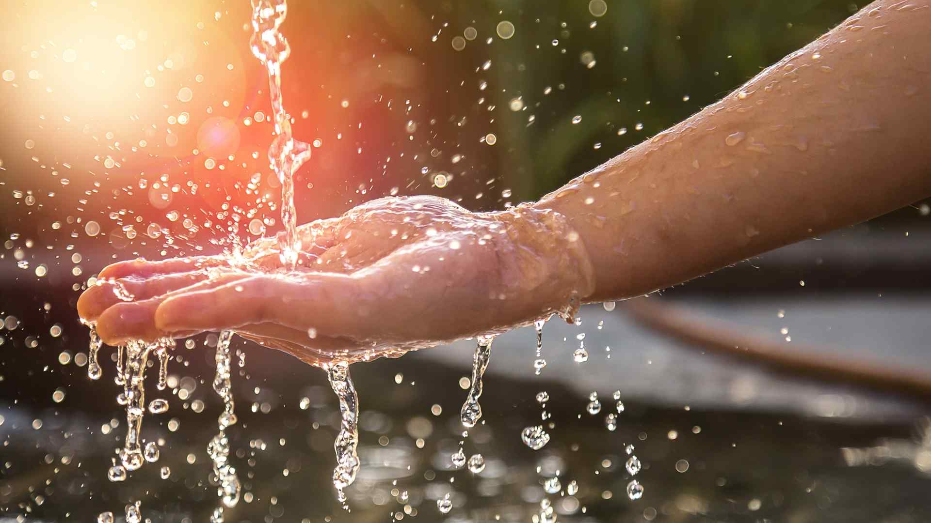 نحوه شستن میوهها و سبزیجات با آب