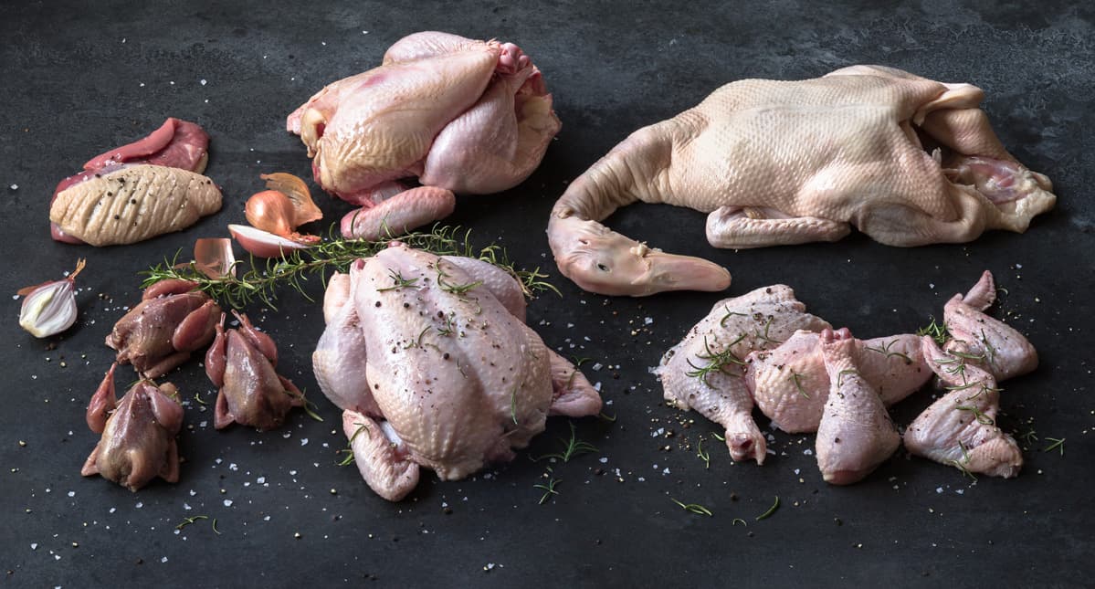 خواص گوشت اردک برای سلامتی و بدن