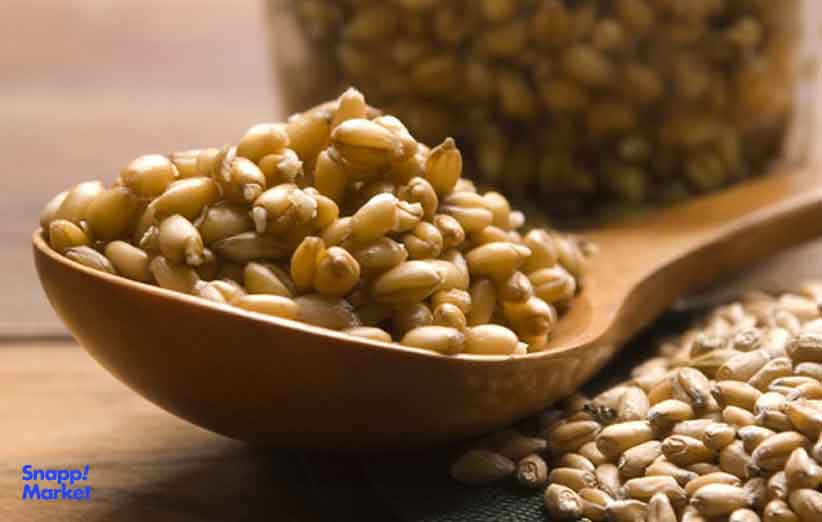 طرز تهیه جوانه گندم در منزل