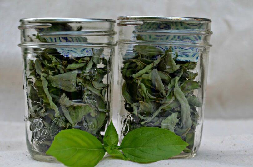 روش نگهداری از ریحان خشک