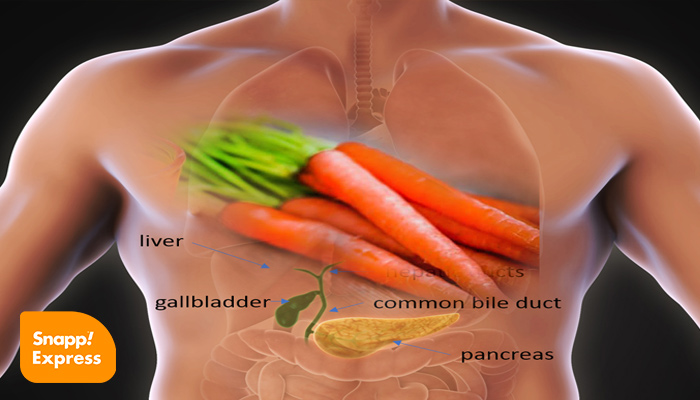 خواص-آب-هویج-ناشتا-برای-کبد-در-بدن