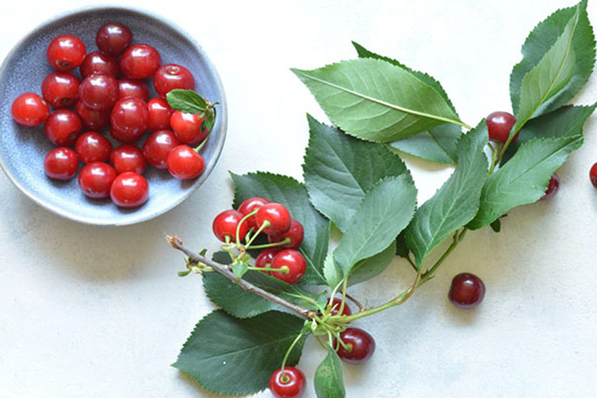 طرز تهیه کمپوت آلبالو مجلسی