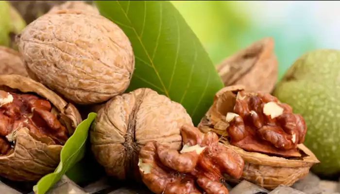 مغز گردو برای لاغری