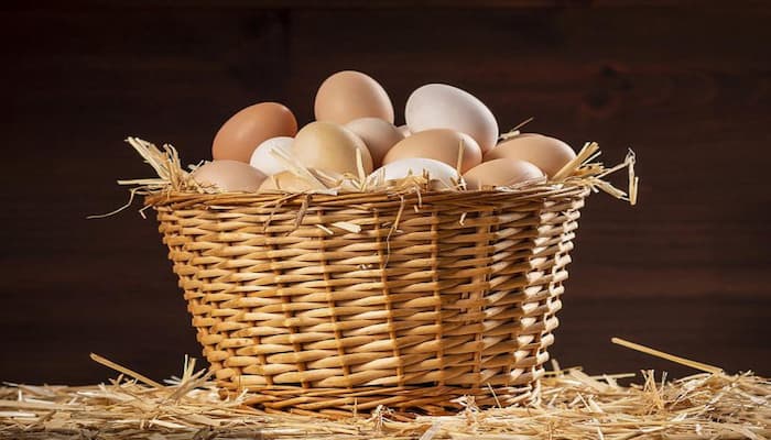 بهترین روش شستن تخم مرغ 