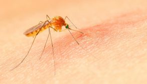 111GettyImages-831748876