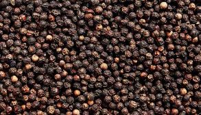 11Basically-Pepper-03