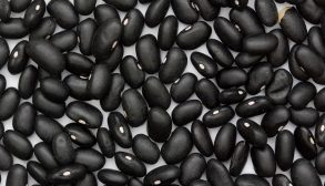 11Black_Turtle_Bean (1)