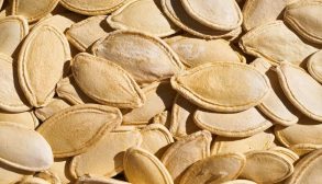 1fc0a9a3c3aa6317709af133c2fce6367