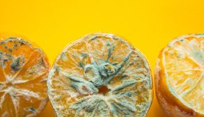 1spoiled-lemon-halves-with-mold-close-up-on-a-yellow-royalty-free-image-1590593466