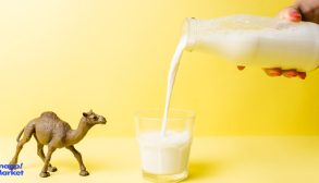 Benefits-of-camel-milk
