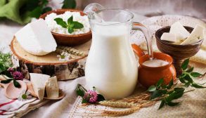 Different Types of Dairy Products-01