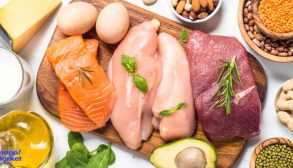 Foods-rich-in-protein