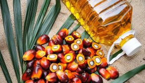 GettyImages-48356356aa