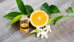 Health benefits of bitter orange blossom-01