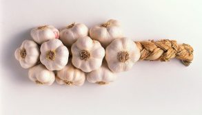 How to Store Fresh Garlic-01