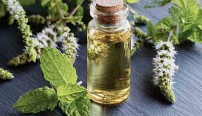 Properties-of-peppermint-sweat-00