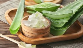 aloe vera and the skin-01