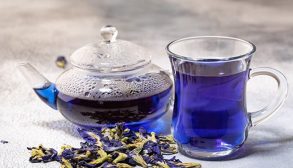 benefits of Echium Amoenum-01