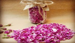بهترین روش خشک کردن گل محمدی