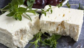 feata_shutter-1200x750