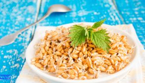 preparation-wheat-germ-home