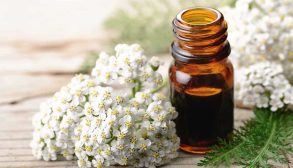properties-of-yarrow-03