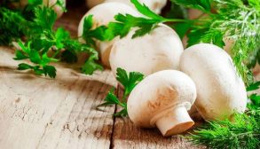 refrigerate mushrooms-01