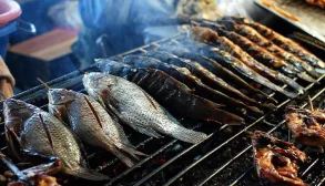 طرز تهیه حشو ماهی